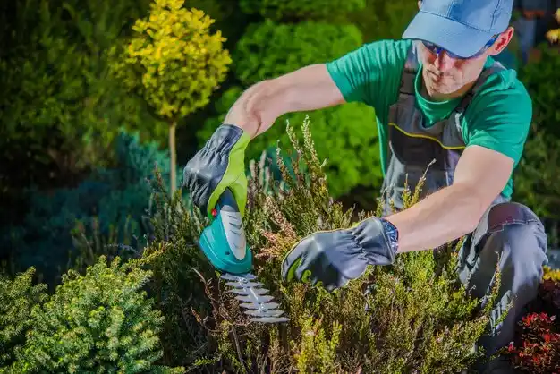 landscaping services Covington